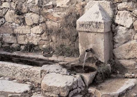 Fuente poza del moral